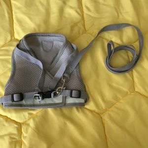 Grey cat harness with leash.